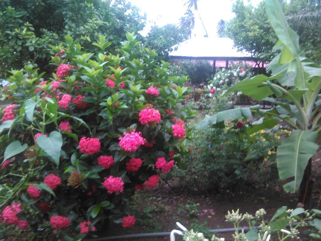 Hostal La Cascada San Ramon Merida Екстер'єр фото